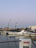 resIMG_20240125_171635_IMG_1376.jpg